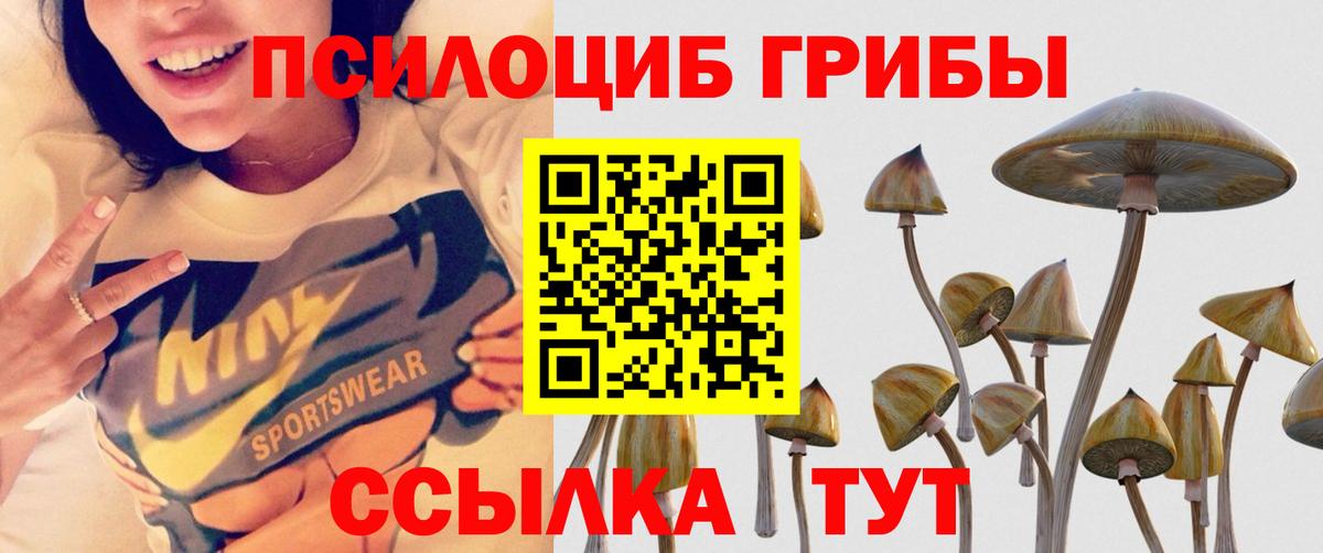 Галлюциногенные грибы Psilocybine cubensis  Вход с VPN  Псилоцибиновые грибы ЛСД  Избербаш 