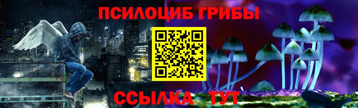 Галлюциногенные грибы мицелий Избербаш